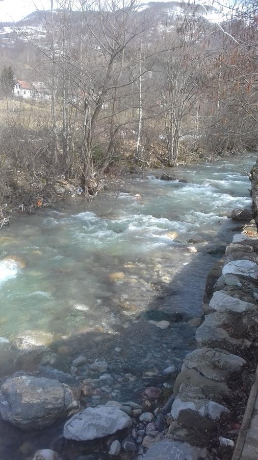 Jankovic Chalet Villa Kolaşin Dış mekan fotoğraf